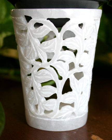 close up of Rose Vines